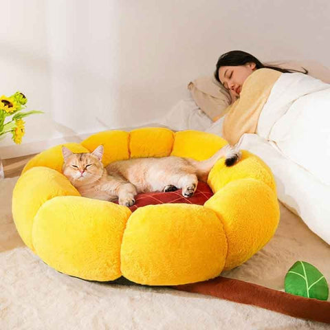 New Cat Nest Bed