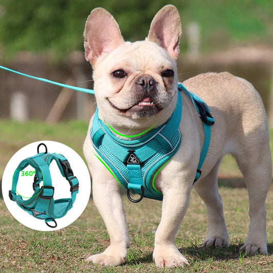 (1001) No Pull Dog Harness & Leash Set - Reflective Mesh Vest